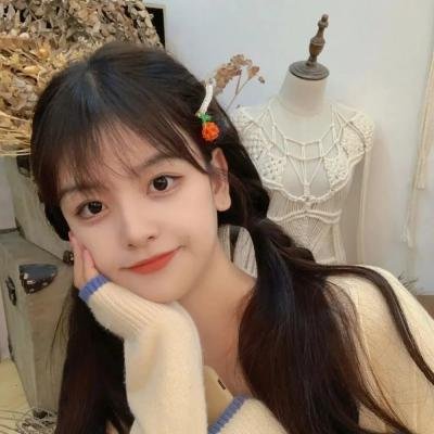 泥砖与镜子