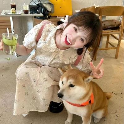 珍妮热线